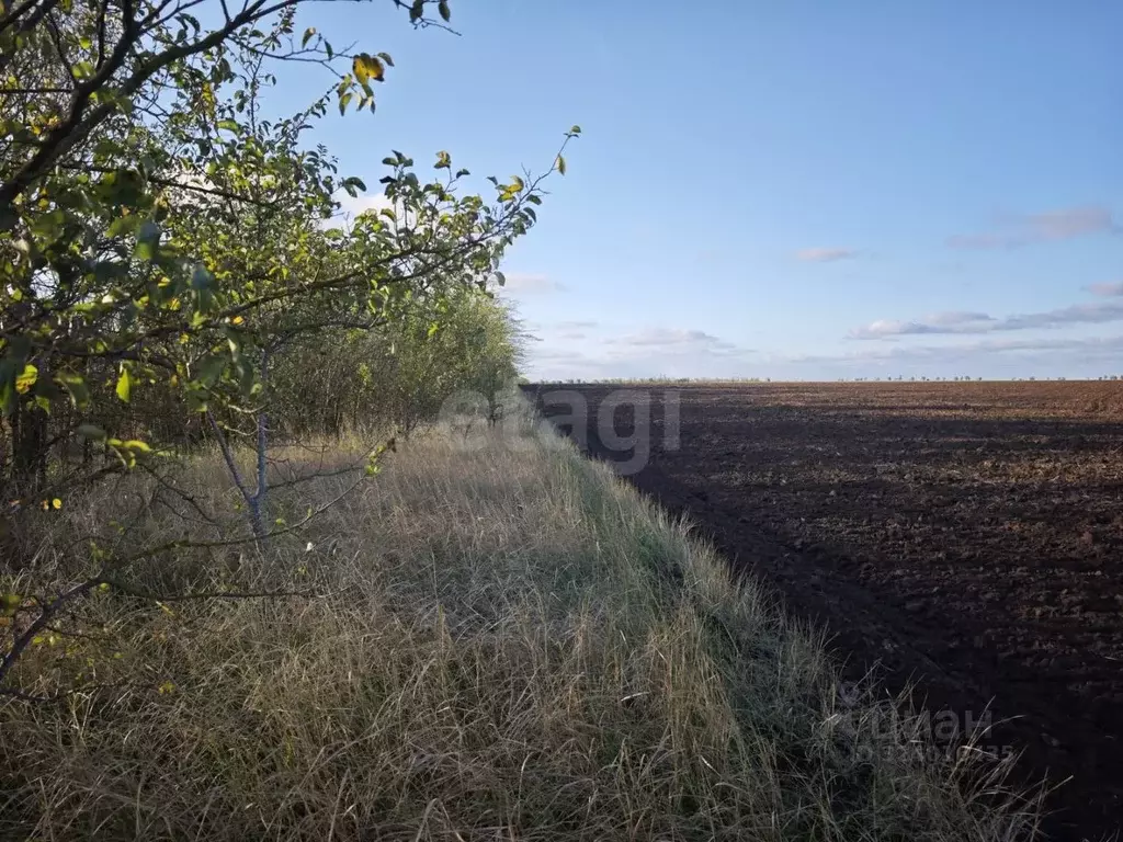 Участок в Крым, Сакский район, с. Сизовка  (1500.0 сот.) - Фото 1