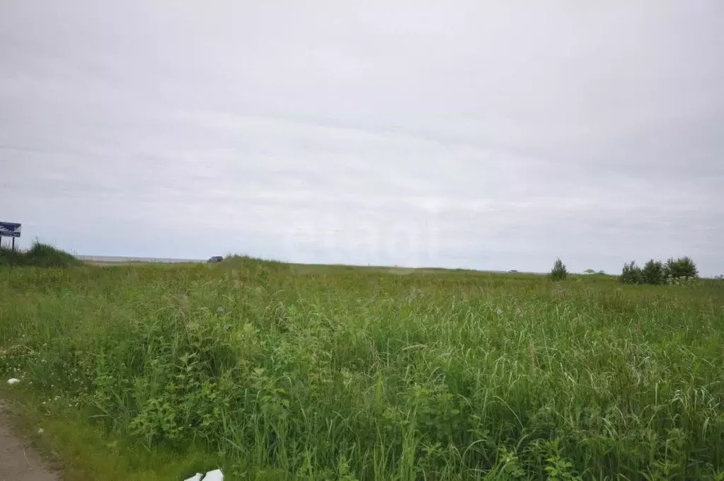 Участок в Сахалинская область, Анивский городской округ, с. Рыбацкое  ... - Фото 1