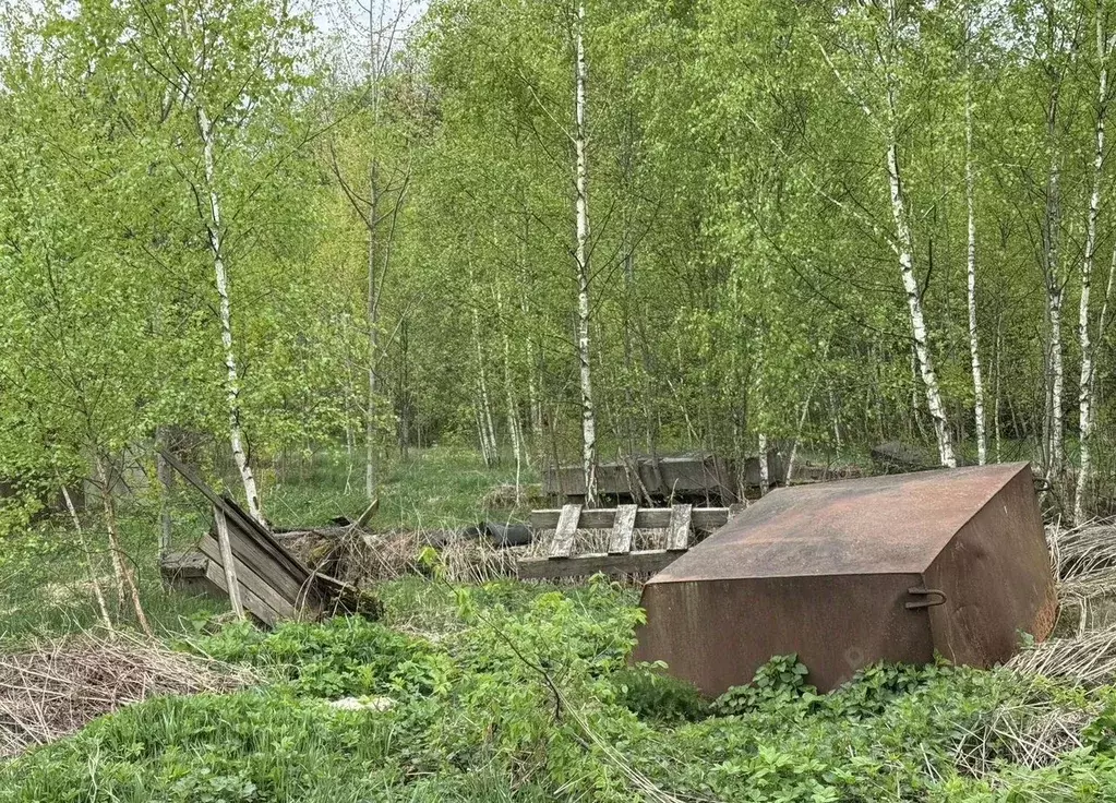 Участок в Московская область, Ступино городской округ, с. Старая Ситня ... - Фото 2