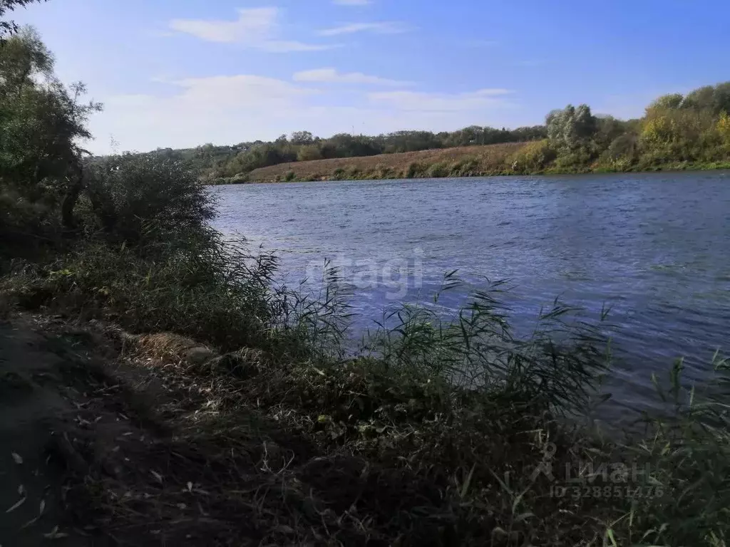 Участок в Воронежская область, Рамонский район, Новоживотинновское ... - Фото 1