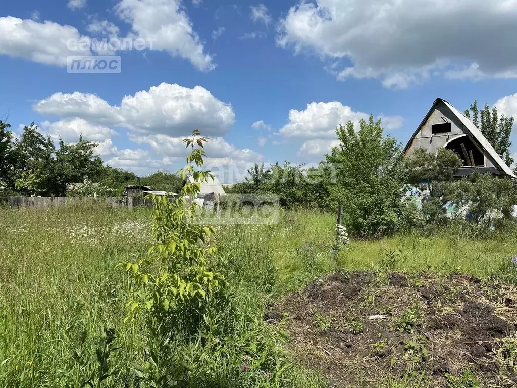 Участок в Челябинская область, Зауральское городское поселение, ... - Фото 1