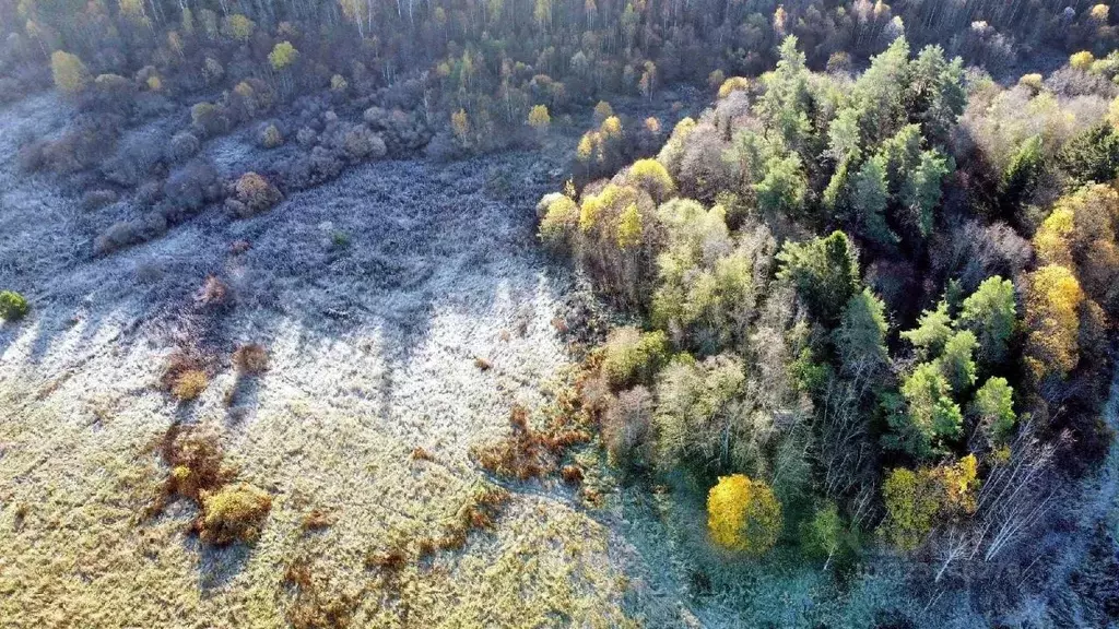 Участок в Карелия, Лахденпохский муниципальный округ, Куркиекское ... - Фото 1