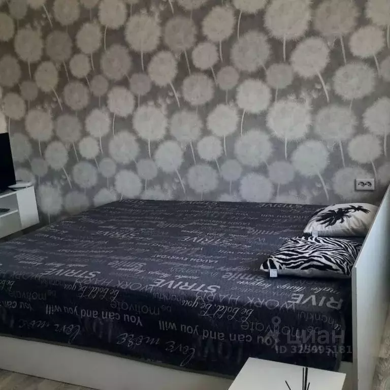 1-к кв. Алтай, Майминский район, с. Майма ул. Д. Климкина, 20к3 (25.0 ... - Фото 2