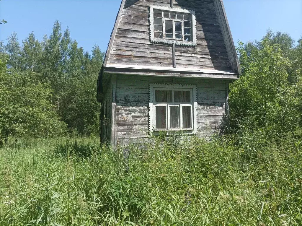 Участок, 6 сот., сельхоз (снт или днп) - Фото 1