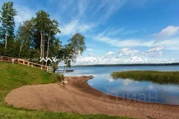 Участок в Ленинградская область, Выборгский район, Полянское с/пос, ... - Фото 1