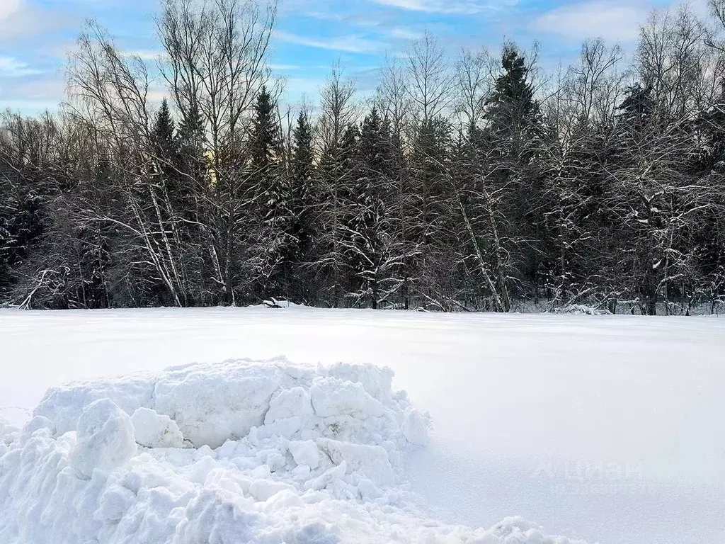 Участок в Московская область, Подольск городской округ, Пузиково кп 13 ... - Фото 2