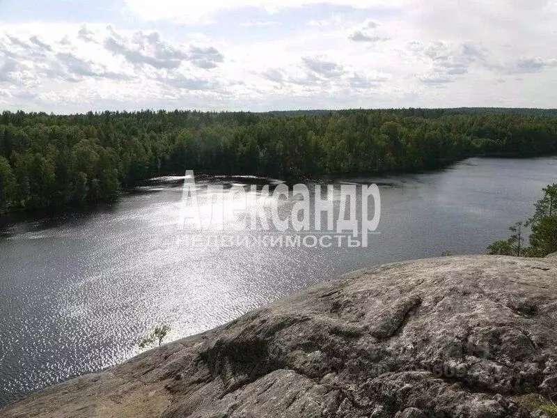 Участок в Ленинградская область, Приозерский район, пос. Севастьяново  ... - Фото 0