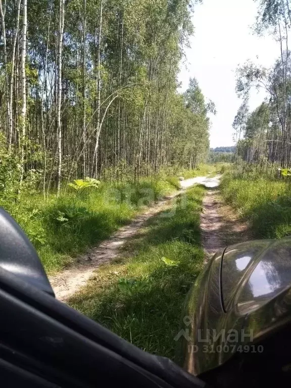 Участок в Калужская область, Калуга городской округ, д. Матюнино  ... - Фото 0