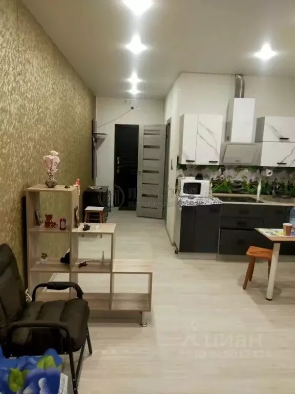 Студия Московская область, Старая Купавна Богородский городской округ, ... - Фото 2