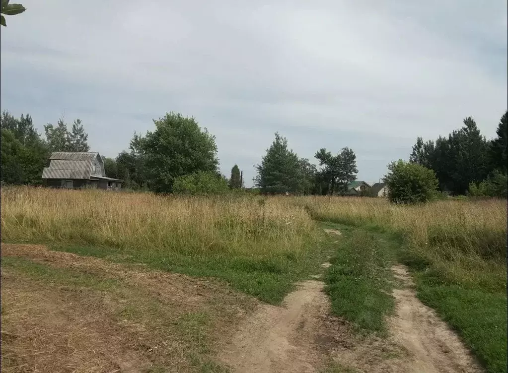 Участок в Ленинградская область, Волховский район, Бережковское с/пос, ... - Фото 2