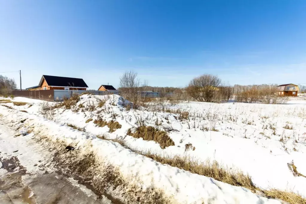 Участок в Тюменская область, Тюменский муниципальный округ, с. Кулига, ... - Фото 1
