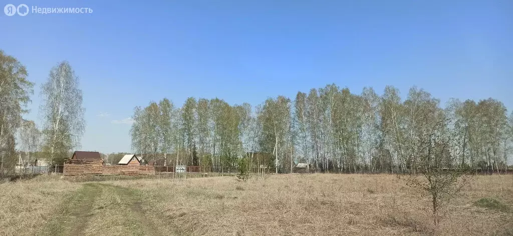 Участок в Новосибирская область, Бердск (12.65 м) - Фото 1