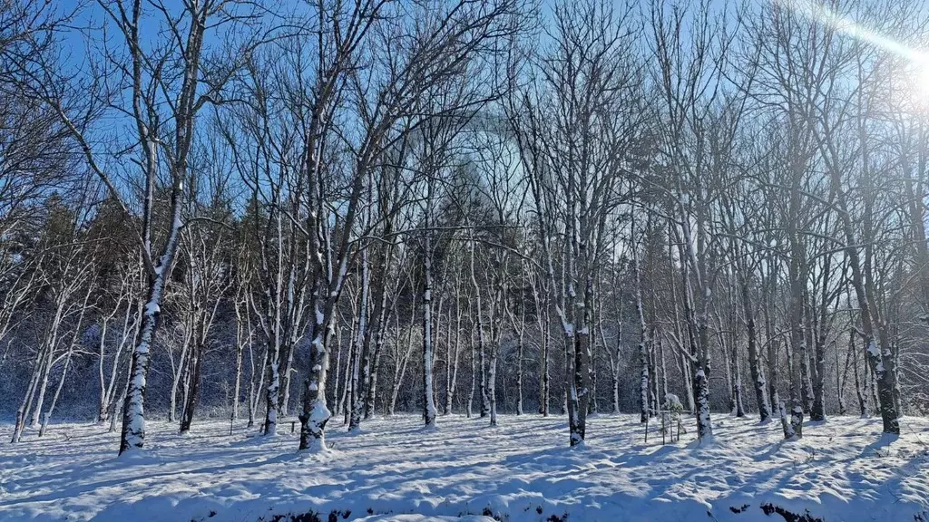 Участок в Краснодарский край, Апшеронск Ладожская ул. (7.35 сот.) - Фото 1