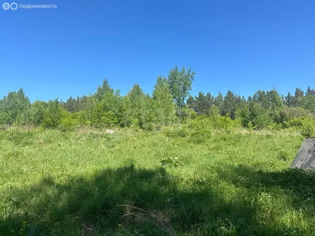 Участок в Красноярск, Октябрьский район (880 м) - Фото 2