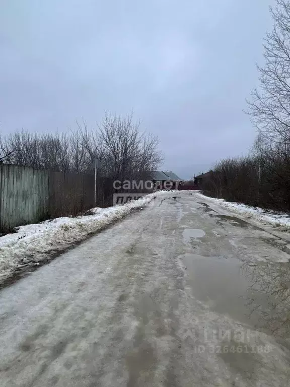 Участок в Нижегородская область, Бор муниципальный округ, с. ... - Фото 1