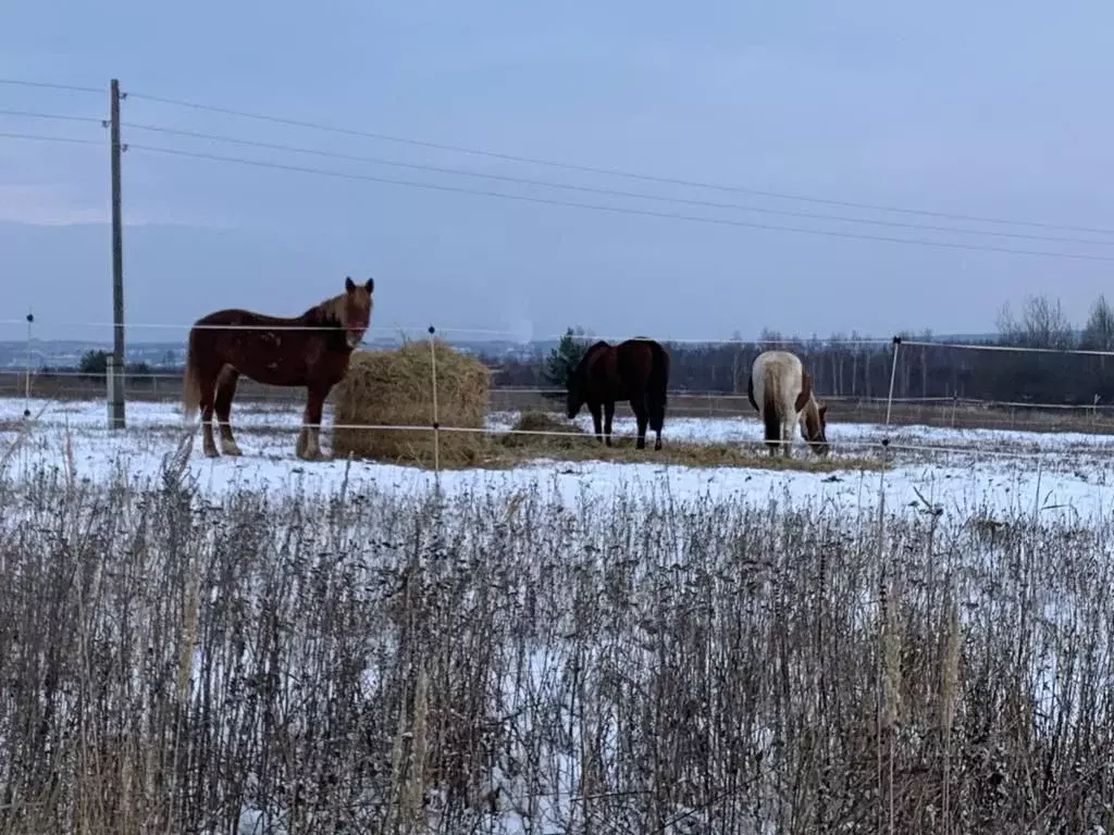 Участок в Ярославская область, Переславль-Залесский муниципальный ... - Фото 1
