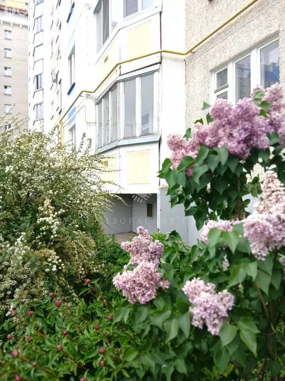 1-комнатная квартира: Орёл, Планерная улица, 62 (44.9 м) - Фото 0