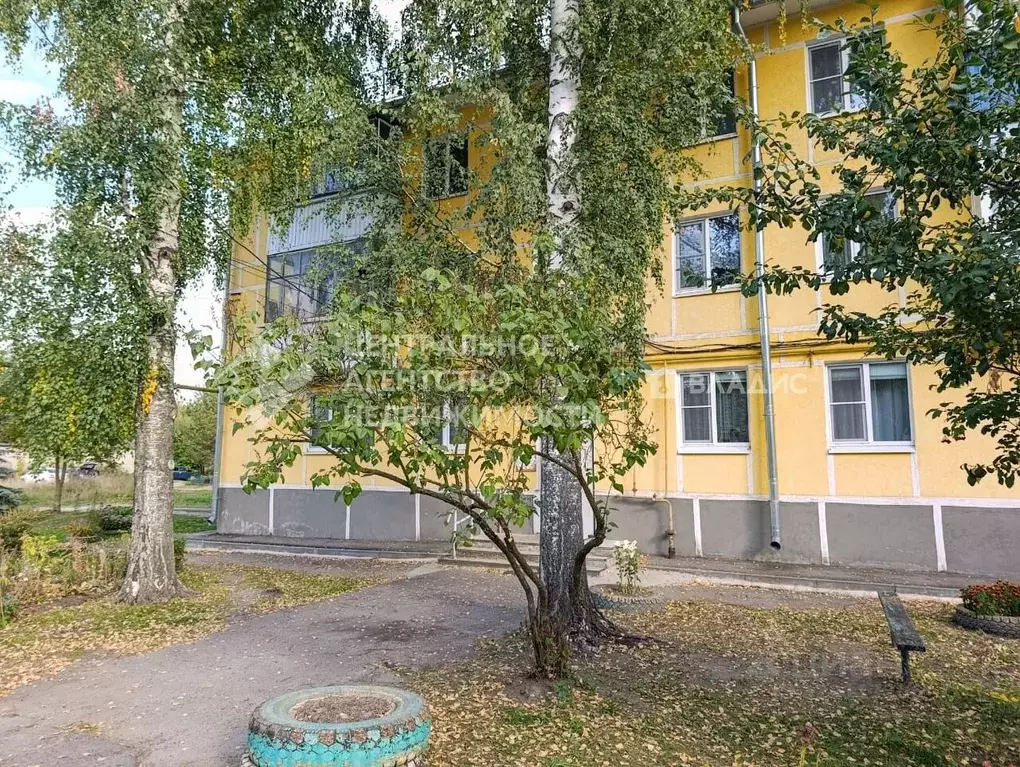 3-к кв. Рязанская область, Шилово рп ул. Рязанская, 119 (52.5 м) - Фото 2