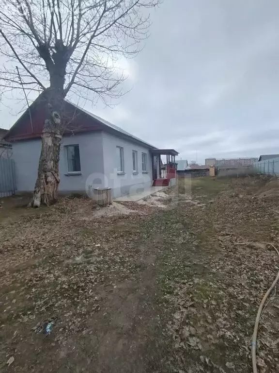 Дом в Троицк, улица имени В.И. Ленина (36.9 м) - Фото 1