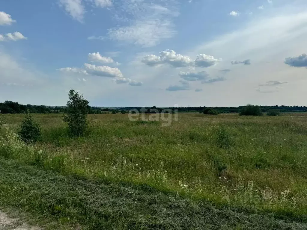 Участок в Костромская область, Красносельский район, Шолоховское ... - Фото 2