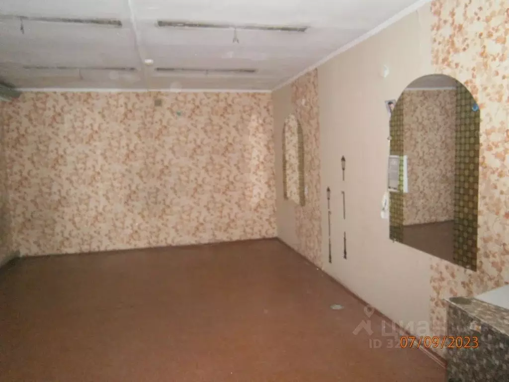 Помещение свободного назначения в Новосибирская область, Новосибирск ... - Фото 1