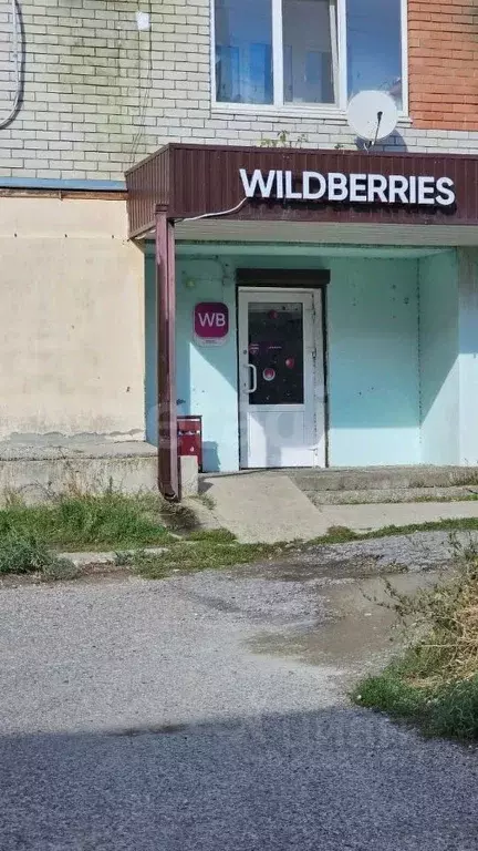 Помещение свободного назначения в Калмыкия, Элиста 10-й мкр, 19 (77 м) - Фото 2