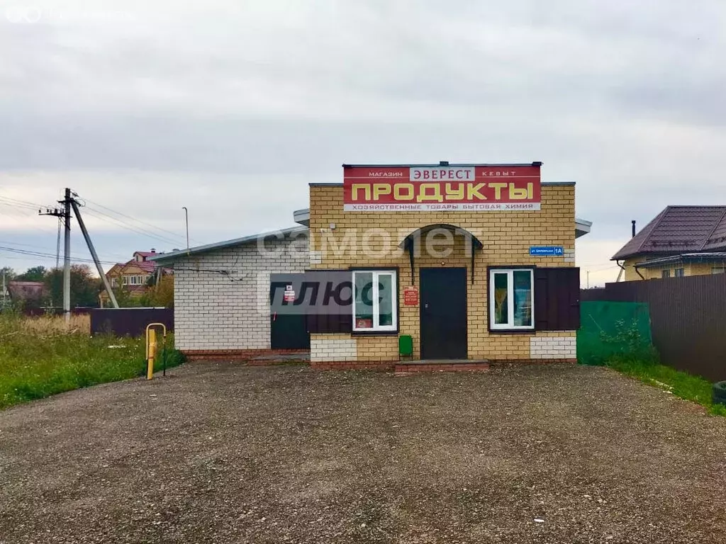 Помещение свободного назначения (50.6 м) - Фото 1