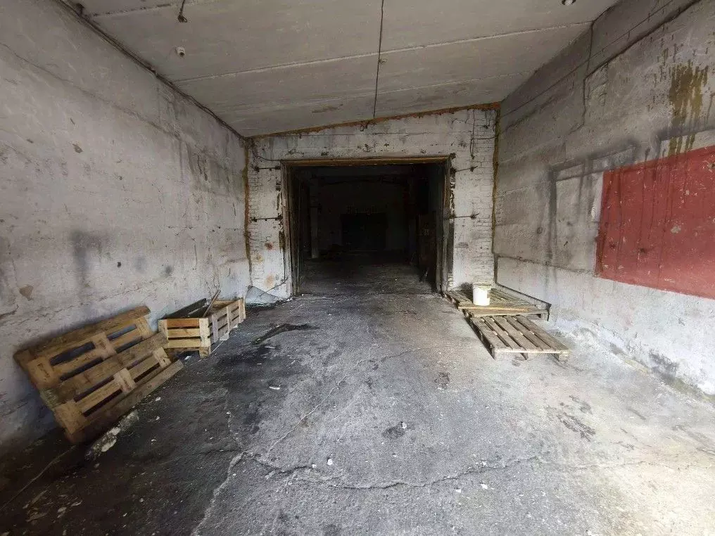 Помещение свободного назначения в Иркутская область, Иркутск ул. Левый ... - Фото 2