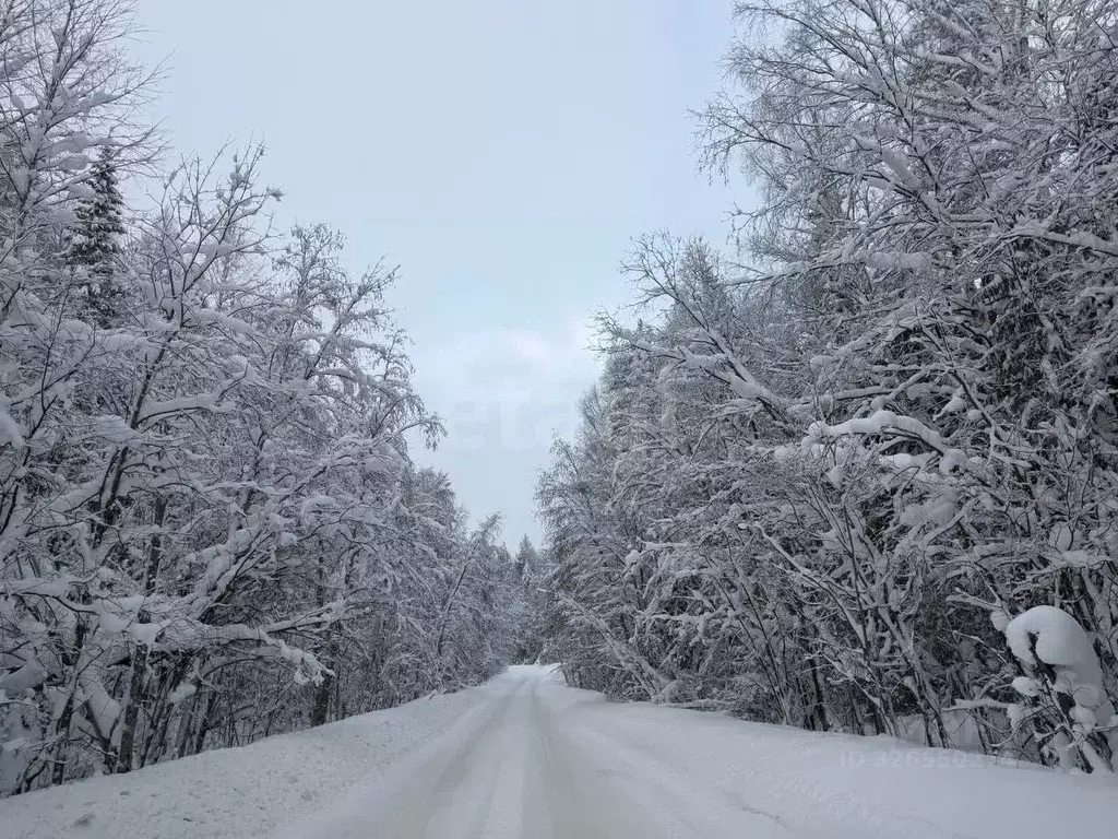 Участок в Коми, Сыктывдинский район, Выльгорт муниципальное ... - Фото 2