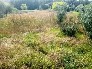 Дом в Белгородская область, Алексеевский муниципальный округ, с. ... - Фото 2