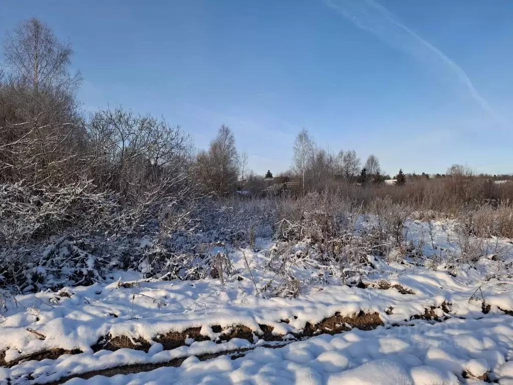 Участок в Московская область, Пушкинский городской округ, д. ... - Фото 0