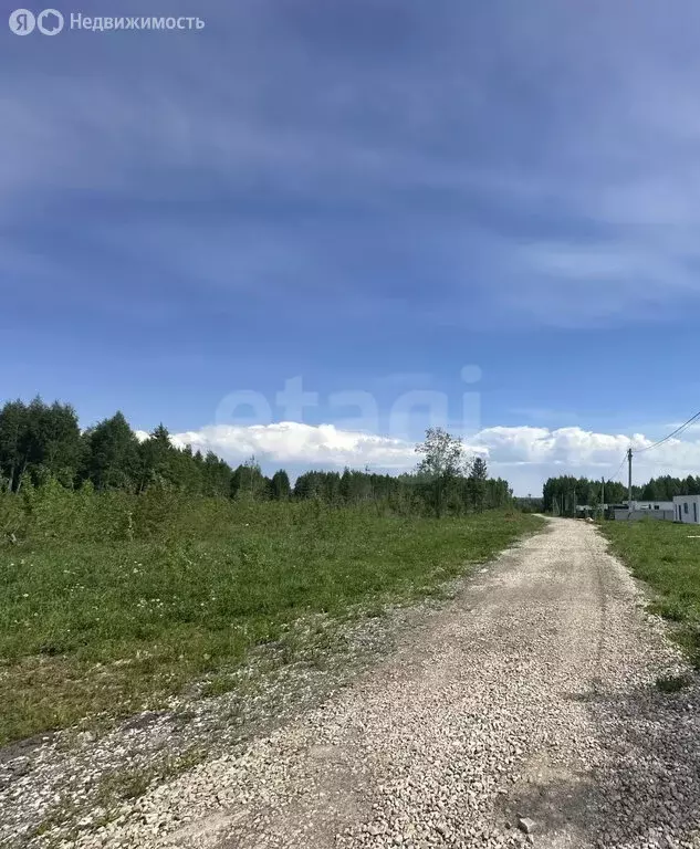 Участок в Пермский край, Добрянский муниципальный округ, деревня Конец ... - Фото 2