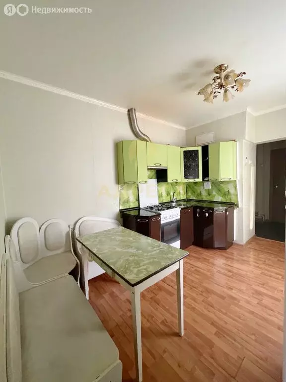 Квартира-студия: посёлок Пригородный, Звёздный проспект, 128Д (28 м) - Фото 1