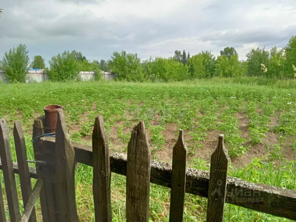 Земельные участки новокузнецкий. Село Анисимово Новокузнецкий район. Деревня Боровково Ногинского района. Боровково Кемеровская область. Боровково Кемеровская область фото.