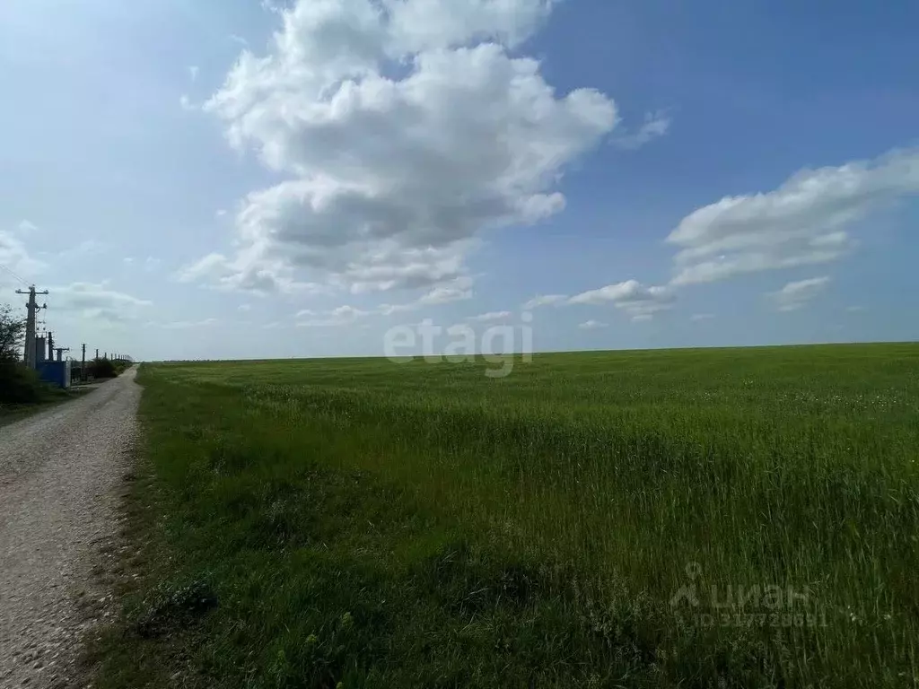 Участок в Крым, Симферопольский район, с. Трудовое ул. Зеленая (283.5 ... - Фото 1