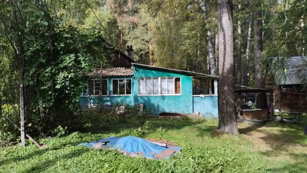 Дом в Иркутская область, Иркутск Трамвайщик СНТ, 16 (50 м) - Фото 0