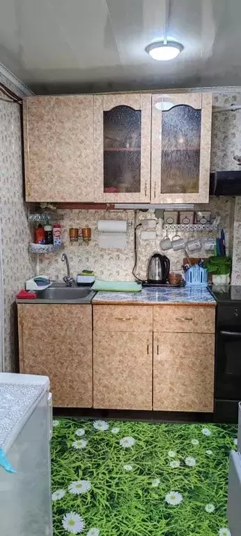 Дом в Камчатский край, Петропавловск-Камчатский ул. Беринга, 66 (30 м) - Фото 1