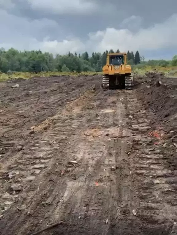 Участок в Костромская область, Судиславское с/пос, пос. Мирный  (300.0 ... - Фото 1