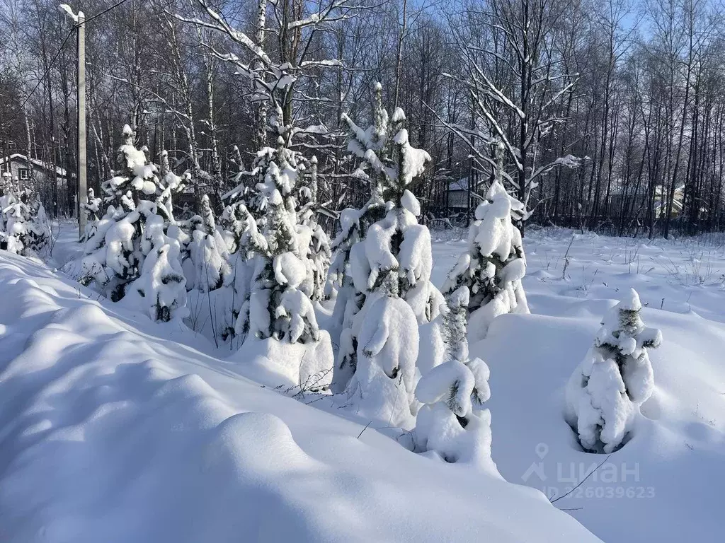 Участок в Московская область, Раменский муниципальный округ, Жилой ... - Фото 2