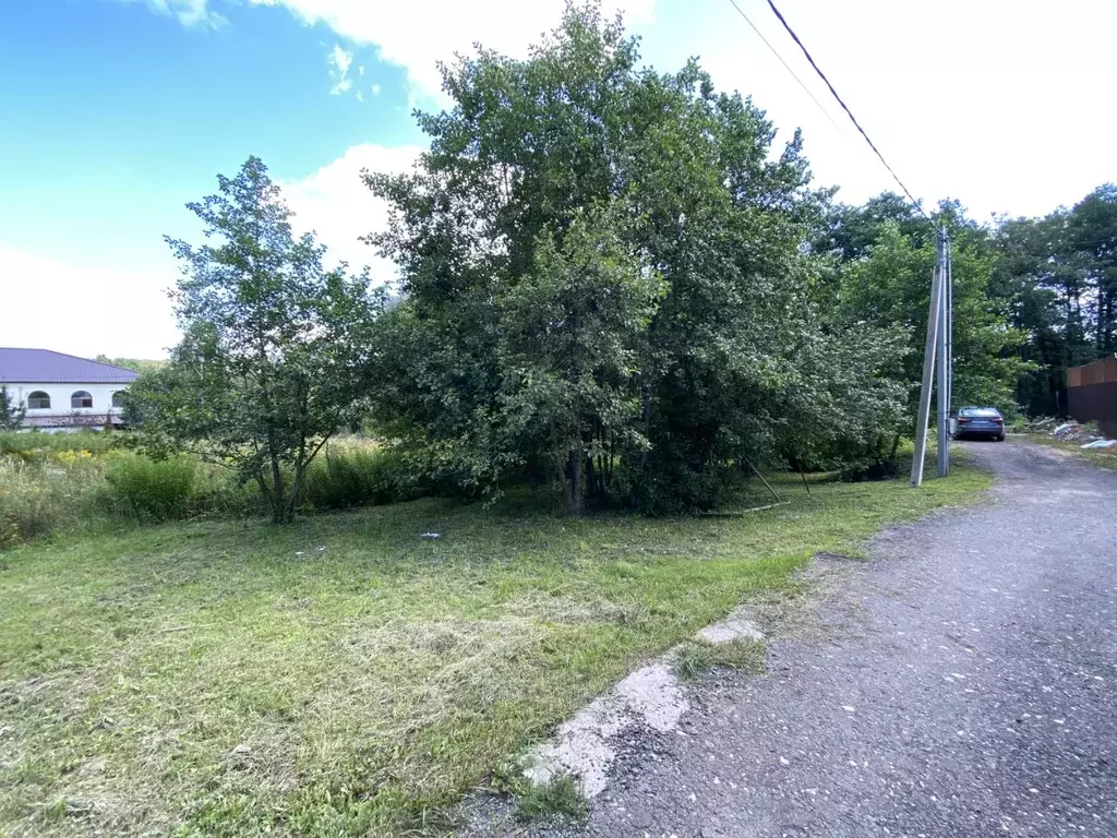 Участок в Московская область, Домодедово городской округ, д. Чулпаново ... - Фото 2