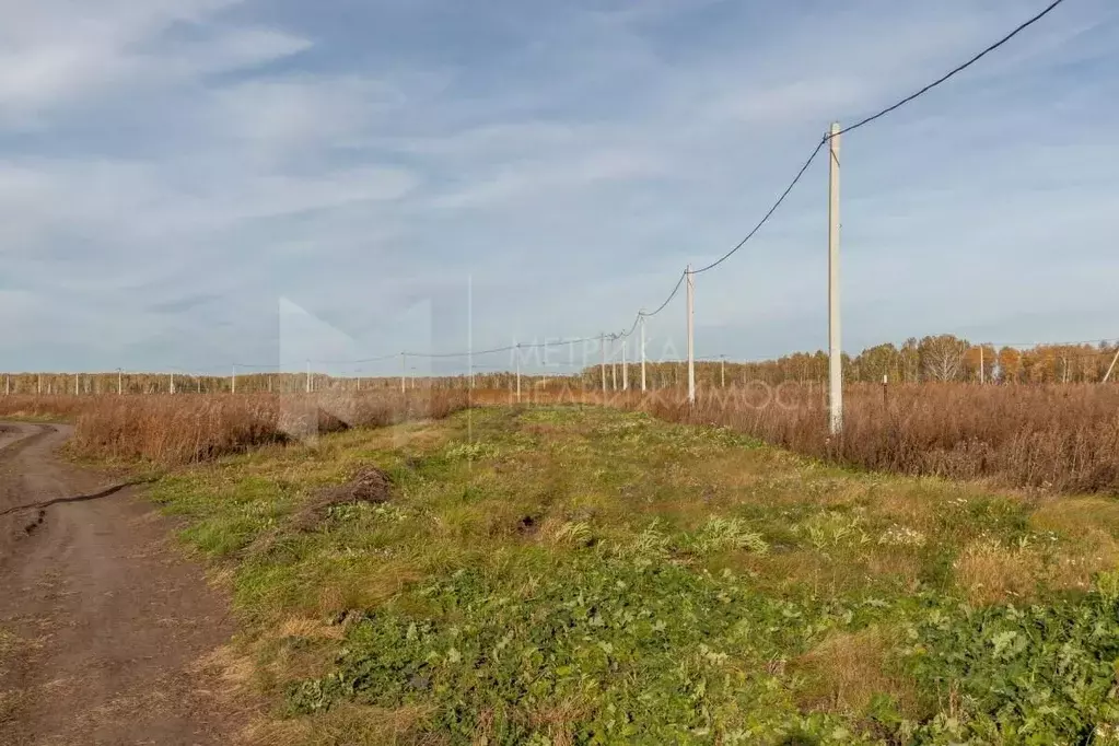 Участок в Тюменская область, Тюменский муниципальный округ, ... - Фото 1