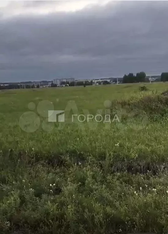 Участок 10,6 сот. (СНТ, ДНП) - Фото 0