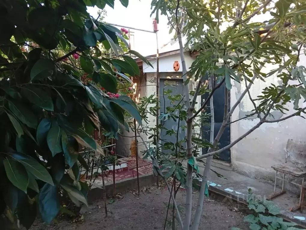 3-к кв. Крым, Симферополь ул. Бетховена, 48 (52.0 м) - Фото 1