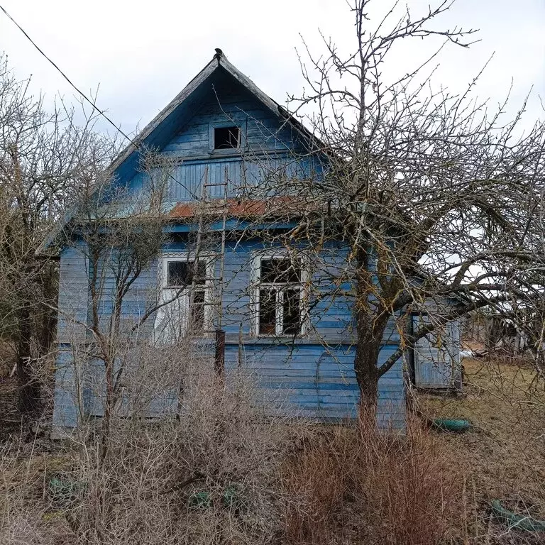 Дом в Новгородская область, Шимское городское поселение, деревня Мшага ... - Фото 1