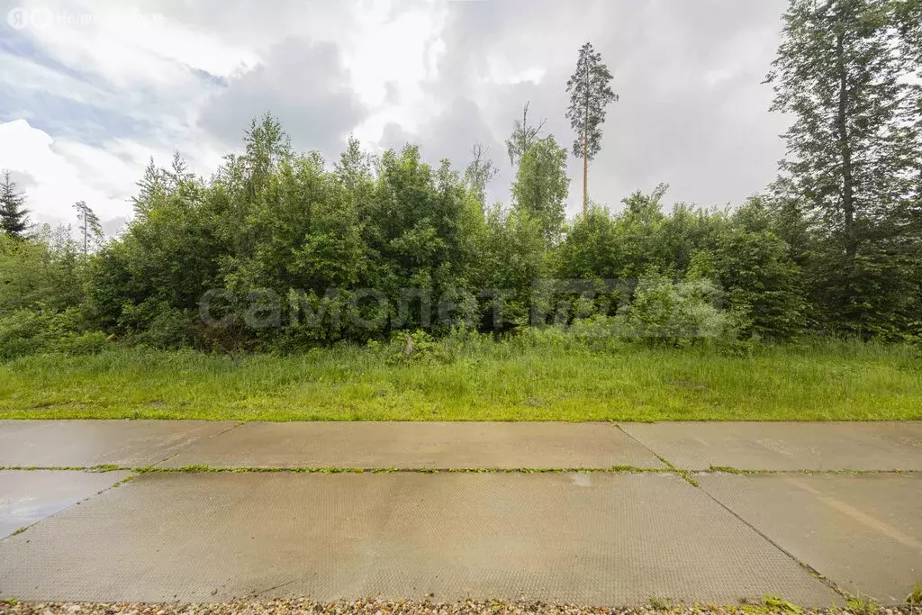 Участок в деревня Сивково, КП Зелёная роща-1 (24 м) - Фото 1