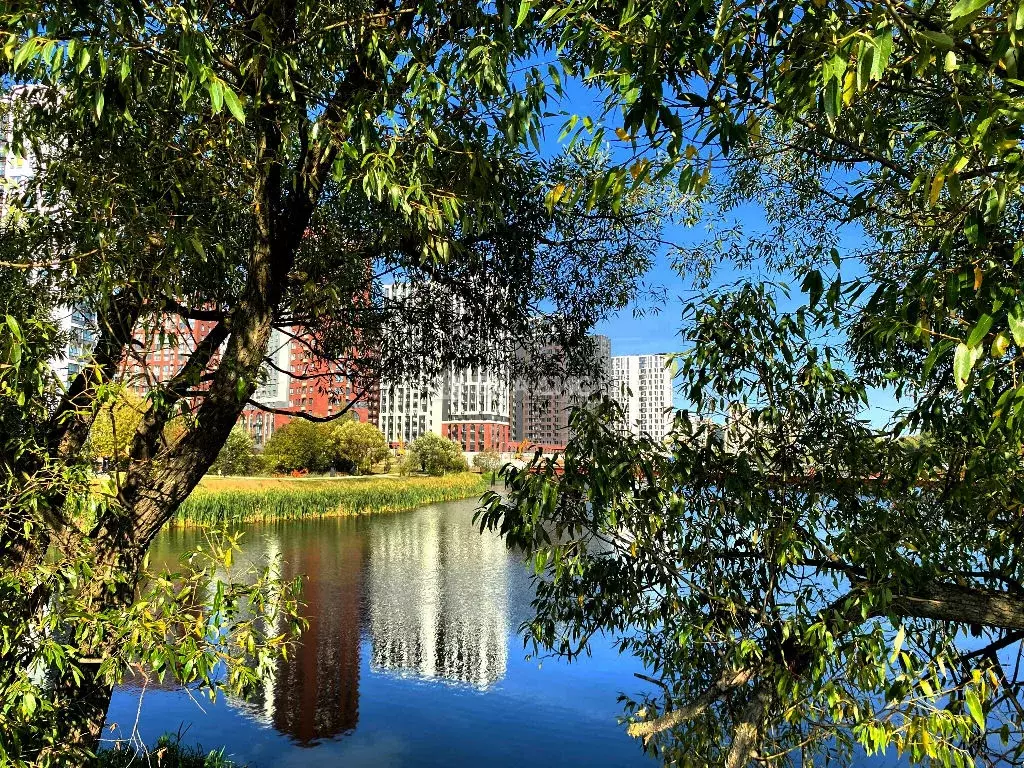 Продается студия - Фото 2