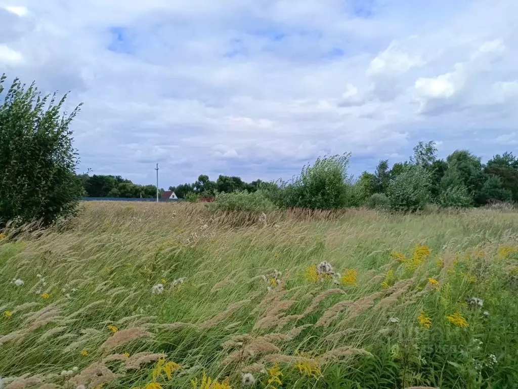 Участок в Московская область, Кашира городской округ, д. Стародуб  ... - Фото 1