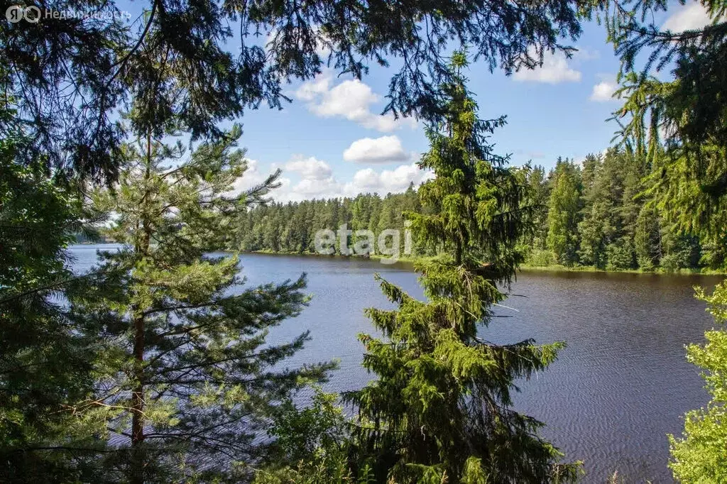 дом в выборгский район, городской посёлок рощино (150 м) - Фото 0