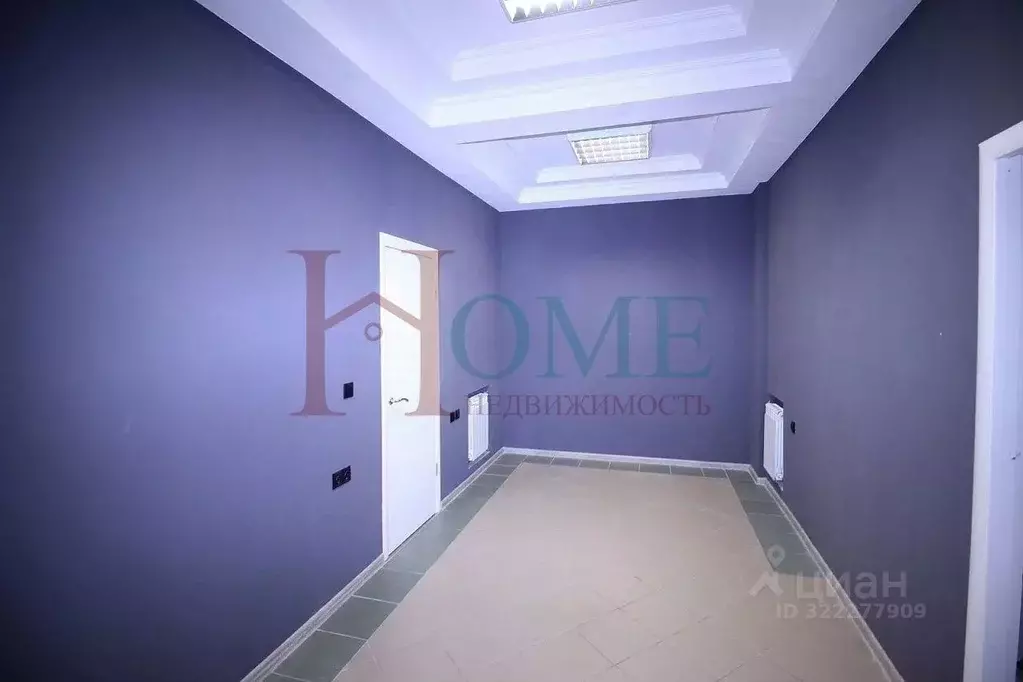 3-к кв. Новосибирская область, Новосибирск Красный просп., 153А (143.0 ... - Фото 1