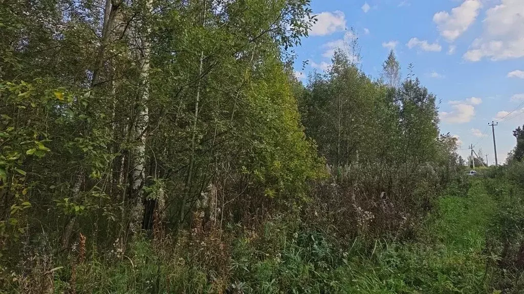 Участок в Московская область, Краснозаводск Сергиево-Посадский район, ... - Фото 1